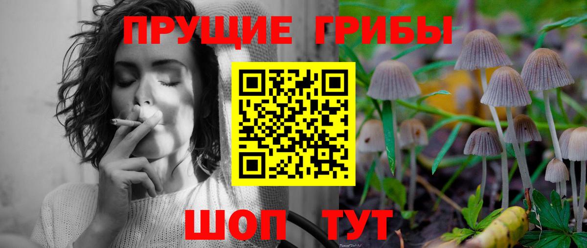 Каспийск  Галлюциногенные грибы Magic Shrooms  Вход с VPN 